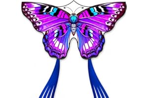 DoinFly Butterfly Kites for Kids & Adults, 55" x 27" Easy to Fly for Beginners, Dreamy Purple Kite with 328 ft Line & Line Winder, for Beach Games & Backyard Flying, Outdoor Activities & Family Trip