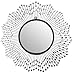 LuLu Décor, Celebration Metal Wall Mirror, Frame 24”, Round Decorative Mirror for Living Room and Office Space