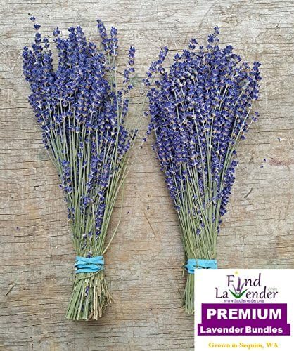 Findlavender - Culinary Lavender Bundles - 14-18 Long - Can Be Used for Any Ocassion - Perfect for your wedding! 2 Bundles from the 2016 harvest