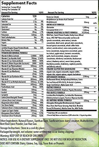 Perfect 10 Supergreens is Premium Organic Green Superfood with Very High End Ingredients in All Categories. Very Large 40 Gram Serving Size Provides 5 to 9 Servings Wholesome Fruits & Vegetables
