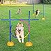 AKA Agility Training Set | Hurdle & Jump Ring| for Dog