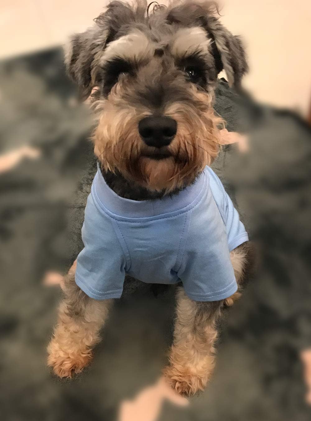 Lovelonglong Dog Pullover Sweatshirt Autumn Winter Cold Weather Dog T-Shirts for Small Medium Large Size Dogs Boston Terrier Clothes Sky-Blue XL - Image 5
