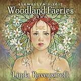 Llewellyn's 2017 Woodland Faeries Calendar by 