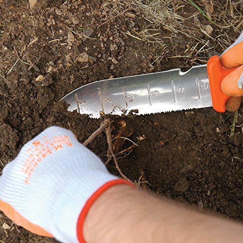 A.M. Leonard Deluxe Soil Knife & Leather Sheath Combo Hori Hori w/ 6