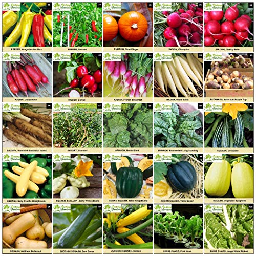 Garden Seeds Vegetable Variety Pack for Planting Grow 125 Varieties
