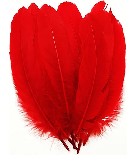 Plumes De Perroquet Naturelles - Mue Naturelle - Environ 27 Plumes