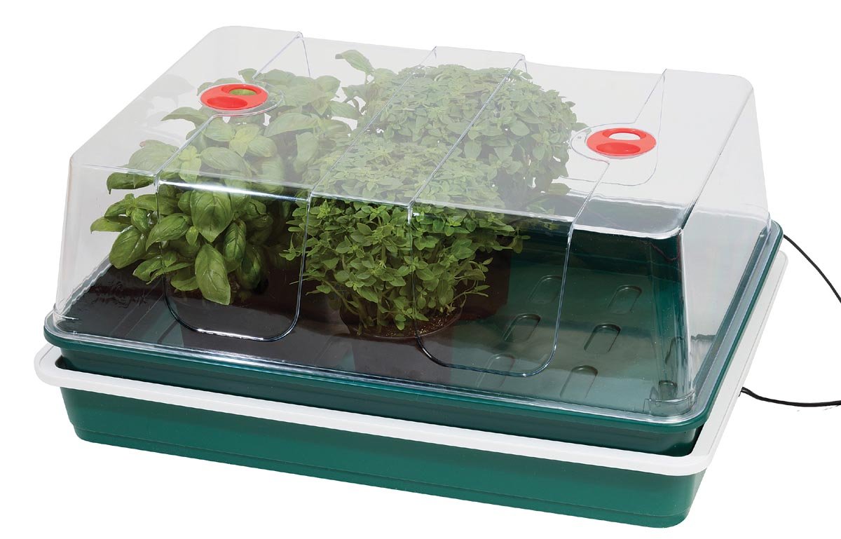 Garland GAL60PV 50 W Variable Temperature Control Electric Propagator, Black, 59x41x27 cm