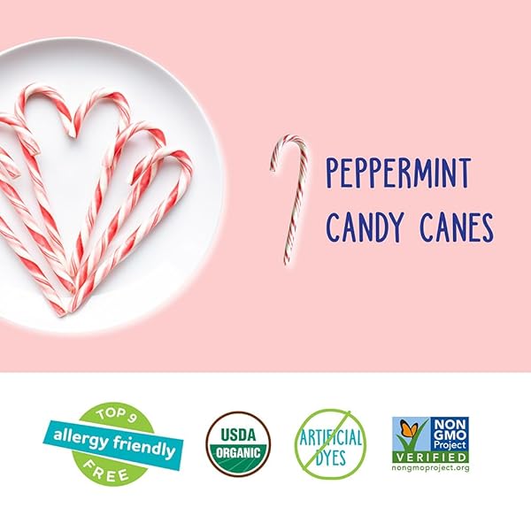 YUMEARTH ORGANIC CANDY CANES – INDIVIDUALLY WRAPPED FULL SIZE PEPPERMINT CANDY CANES – ALLERGY FRIENDLY, NON GMO, GLUTEN FREE, VEGAN, DYE FREE CHRISTMAS CANDY – 10 COUNT (PACK OF 1)