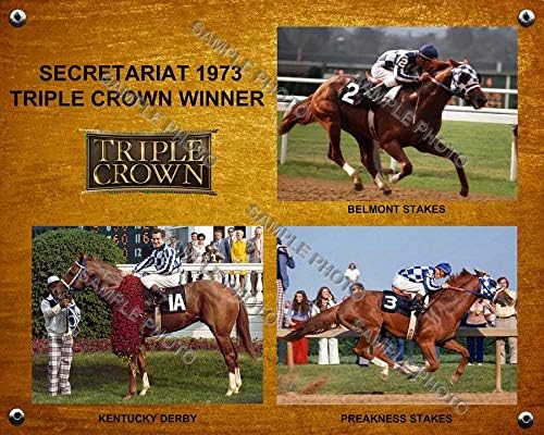 Photographs - SPORTSPHOTOSUSA Secretariat 1973 Triple Crown Winner Derby Preakness Belmont 11x14 Photo Collage