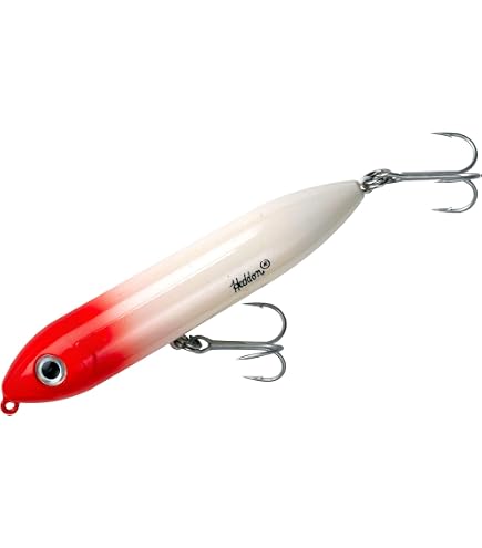 Amazon.com : Heddon Lucky 13 Topwater Fishing Lure with Chugging