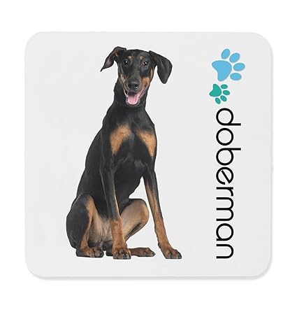 doberman buy online