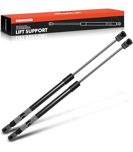 Amazon.com: ACDelco Gold 510-638 (12363150) Rear Compartment Lift