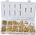 Swordfish 32051 Brass Plated Wood Screw Assortment, 500 Piece