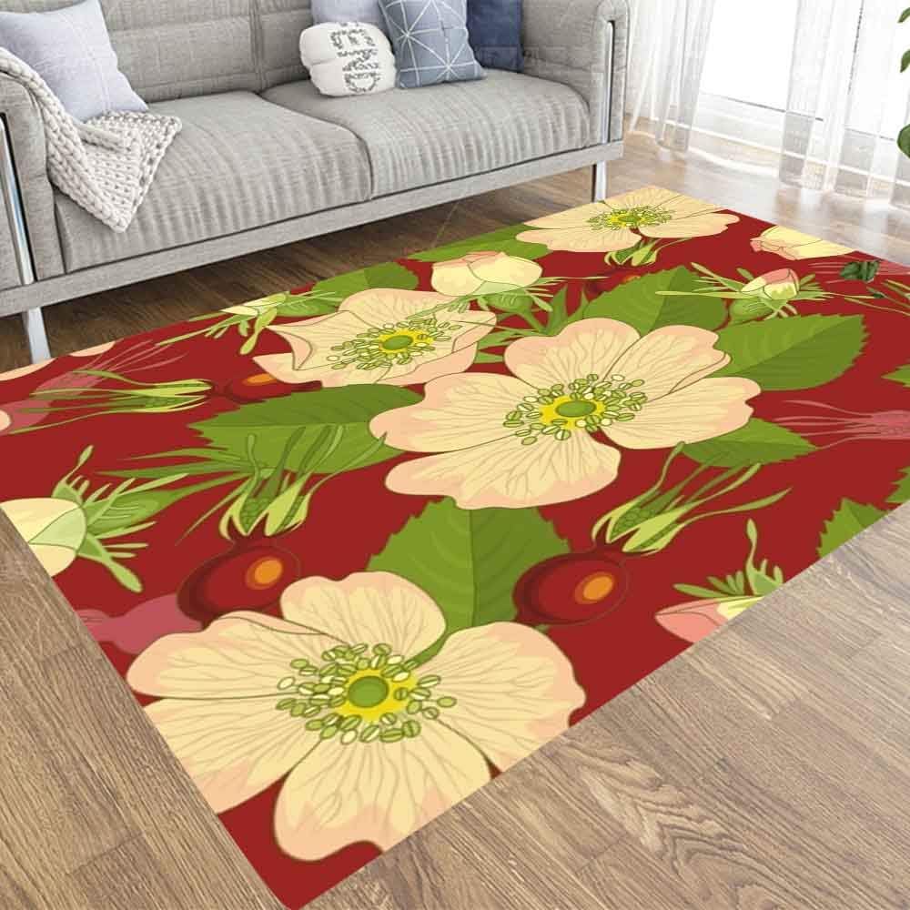 Doocilsh Large Area Rug, 5X7 Farmhouse Area Rug of Indoor