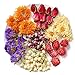 TooGet Fragrant Dried Flowers and Herbs Accessories Decorations 9 Bags Set Dry Flowers for Soap Bath Bombs Making and Dried Flower Crafts