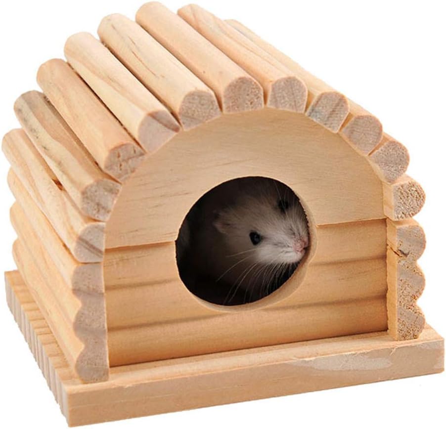 hamster accessories amazon
