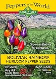 Bolivian Rainbow Heirloom - 10 Seeds - Ornamental