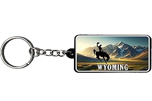 AMERICANPHOENIX Beautiful & Unique Keychains - USA Souvenir, Collectible Design,Flexible Silicone, Keyring Lanyard Accessory