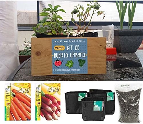 Kit de huerto urbano. Tomate y pimiento: Amazon.es: Jardín