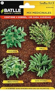 Huerto Urbano - Kit Happy Garden Albahaca Gigante - Batlle: Amazon ...