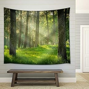 Forest - Fabric Wall Tapestry Home Decor - 51x60 inches