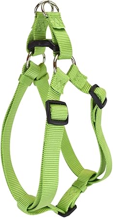 jump step in harness