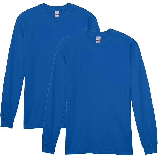 Gildan Men's Heavy Cotton Long Sleeve T-Shirt 2-Pack - Style 5400, Large (Carolina Blue & Graphite Heather)