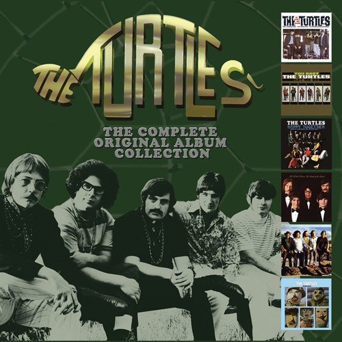 The Turtles - It Was A Very Good Year Lyrics - Zortam Music