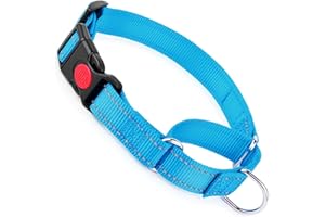 YOUALSO Martingale Collar for Dogs with Buckle, Reflective Dog Choke Collar Escape Proof No Pull Cinch Dog Training Collars Adjustable for XS Small Medium Large Breed Pet Dogs, Light Blue S