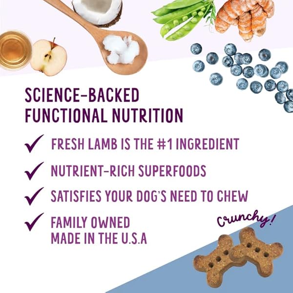 HEALTH EXTENSION OVEN-BAKED DOG TREATS, LAMB RECIPE – GLUTEN & WHEAT-FREE, SUPERFOOD-INFUSED, CRUNCHY BISCUITS FOR PUPPY TRAINING (2.25 LB)