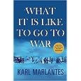 What It Is Like to Go to War