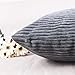 Home Brilliant Pillow Cover 26 x 26 Soft Striped Corduroy Decorative Euro Throw Pillow Sham for Couch, 66x66 cm, Dark Grey