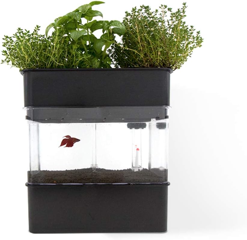 Sistema de Acuaponía para la cría de Peces y Cultivo de Plantas ...