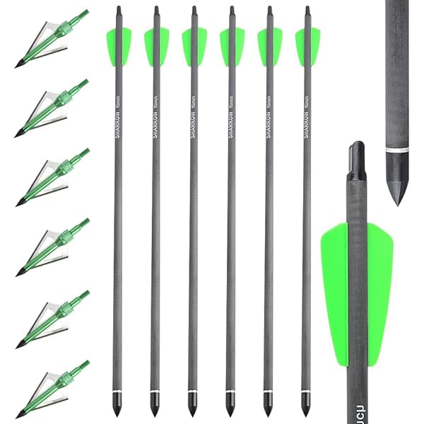24-Pack 20 Inch Carbon Crossbow Bolts - For Hunting & Target Practice, With Vanes