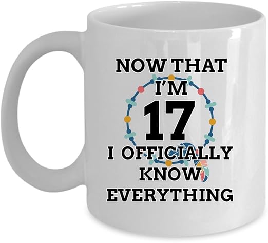 what to get your 17 year old brother for his birthday