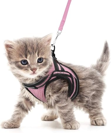 step in cat harness