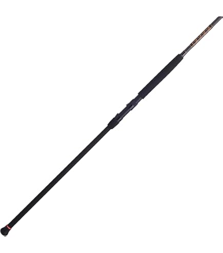 Amazon.com : Daiwa TDSF1102MHFS Team Surf Rod, Sections= 2, Line