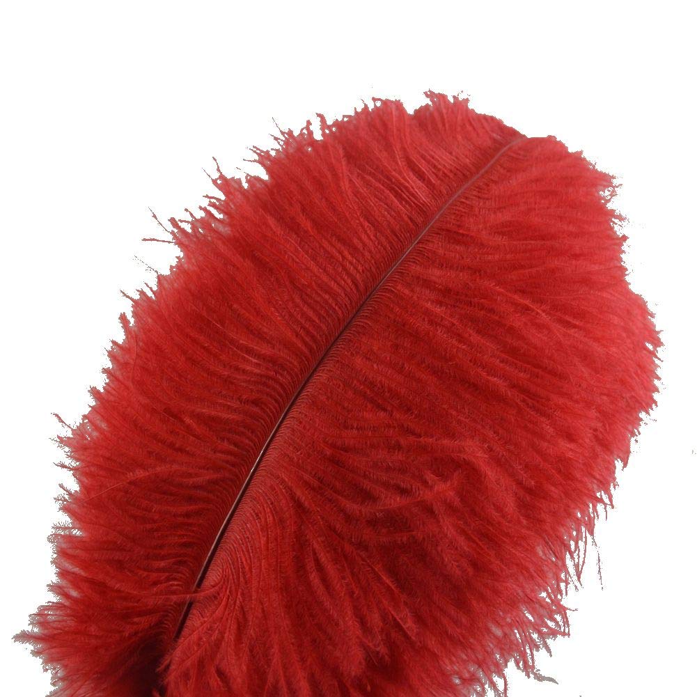 Photo 1 of Sowder 10pcs Ostrich Feathers 12-14inch(30-35cm) for Home Wedding Decoration(red)