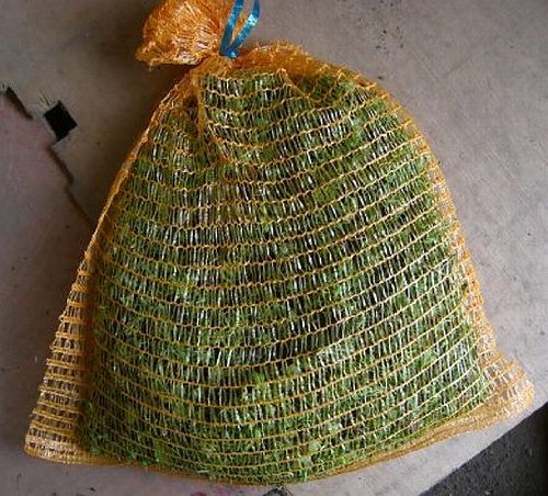 2 kg Sedumsprossenmischung für 20 m² Dachbegrünung – Bild 5