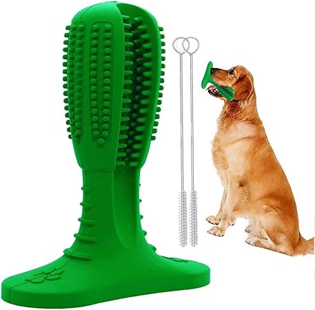rubber dog toothbrush
