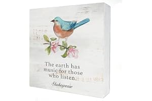 HDKY the Earth Has Music Wood Box Sign Home Decor Rustic Bird Spring Wooden Box Sign Block Plaque for Wall Tabletop Desk Home Decoration Bird Lover Gift