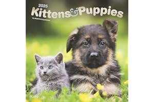 Kittens & Puppies | 2025 12 x 24 Inch Monthly Square Wall Calendar | Foil Stamped Cover | Plato | Animals Cute Kitten Pets