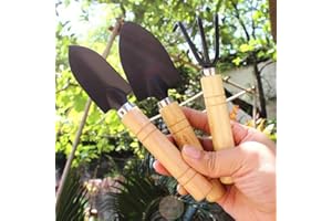 3Pcs Set Mini Garden Hand Tool Kit Plant Gardening Shovel Spade Rake Mini Garden Tools Shovel Planting Tools with Wood Handle