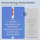 iSpring FA15 Alkaline RO Water Filter 10-inch Inline Quick Connect Replacement view 3