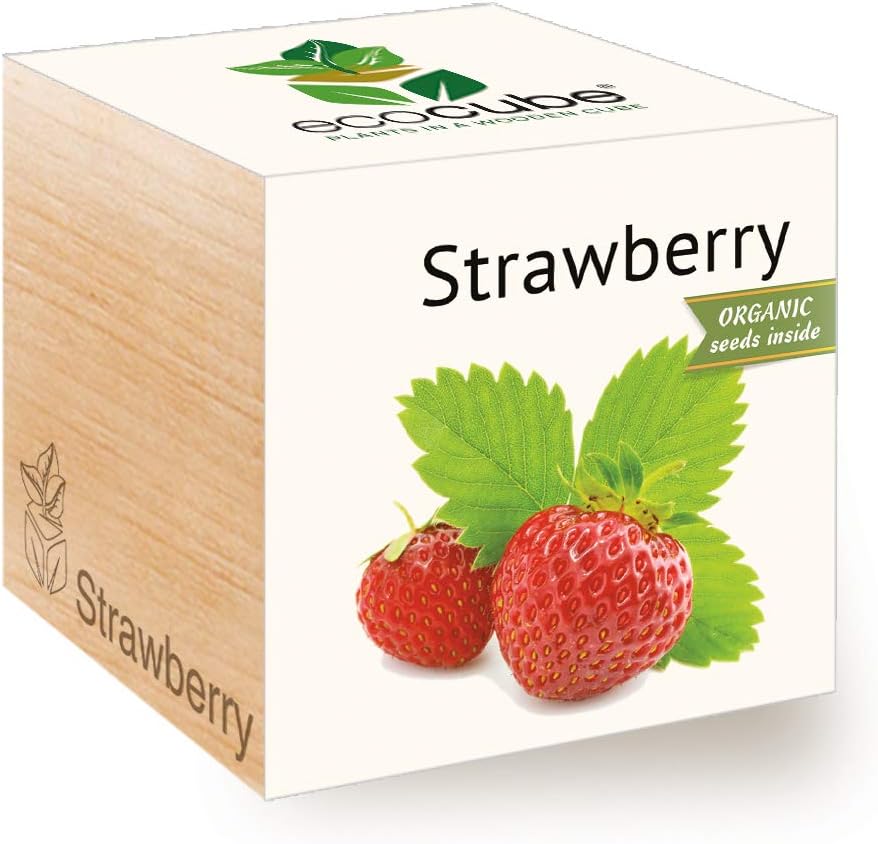 Feel Green Ecocube Organic Strawberry, Grow Your Own Kit, Plant in A Wooden Cube | Made in Austria | Original, Sustainable & Unusual Gift (100% Eco Friendly)
