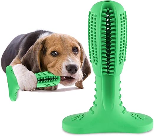 Amazon.com: Pasta de dientes para perro, juguetes para masticar perros, pasta de dientes para perros y dientes para cuidado dental (mediano, verde): Mascotas