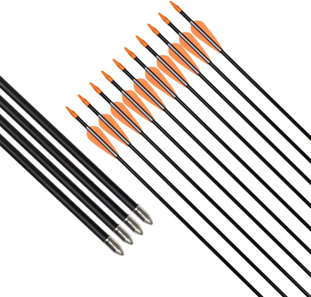 Elong Fiberglass Arrows Archery 24 Inch Target Shooting Practice Safetyglass Recurve Bows Suitable for Youth Children Woman Beginner (6 pcs) : Sports & Outdoors