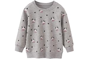 Ysoea Toddler Girl Graphic Sweatshirt Kids Crewneck Rainbow Grape Print Hoodie Fall Birds Flowers Applique Pullover Knit Tops