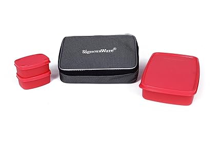 signoraware compact lunch box with bag