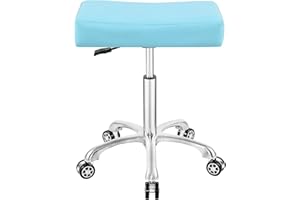 Antlu Adjustable Rolling Heavy Duty Stool Chair for Massage Office Tattoo Medical, Work Heavy Duty Hydraulic Stool with Wheels (Cyan)